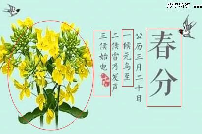 短信群发营销方案